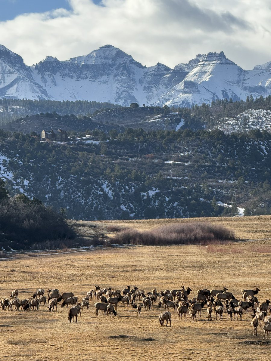 Visit Telluride tweet media