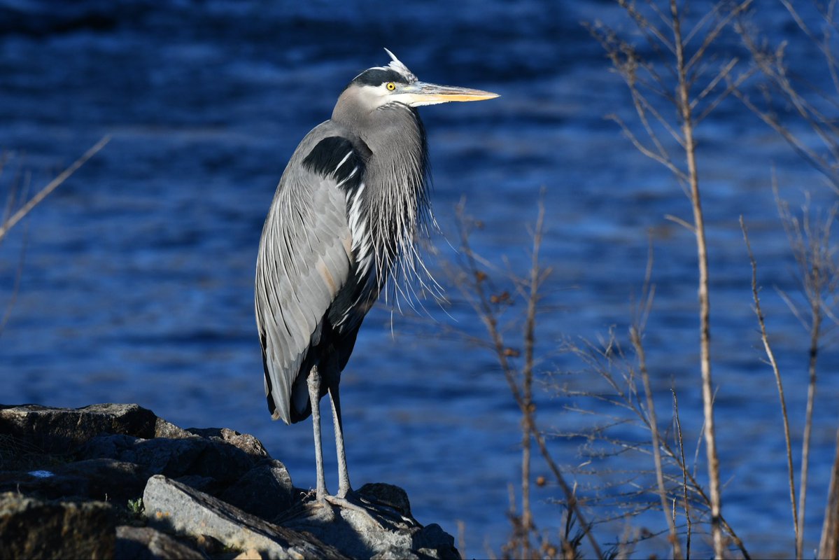 David Boczkowski tweet media