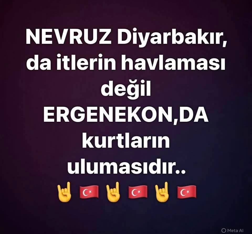 Nazım PEKER (@nazmpeker) on Twitter photo 