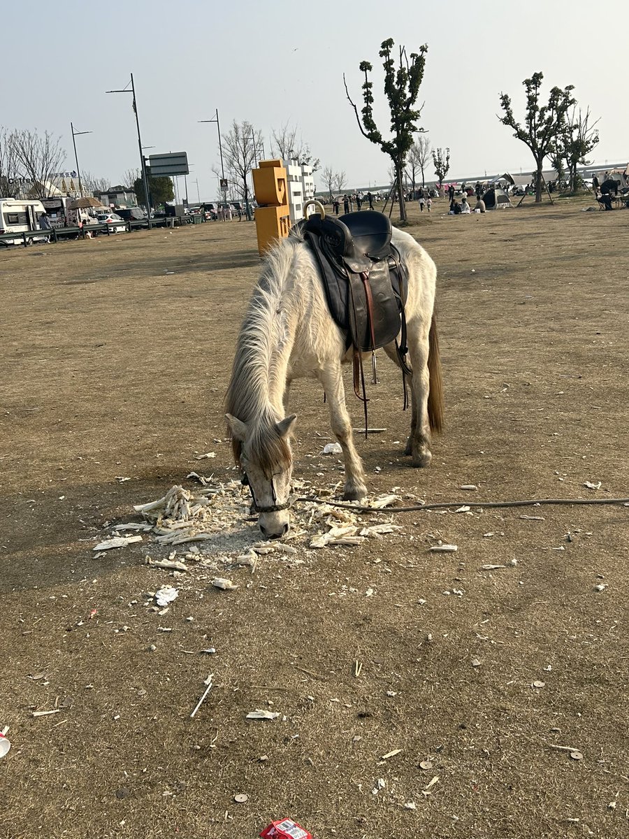 Alloy_CO2 tweet media