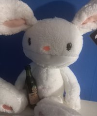 LaMechi!♡🌸💫 tweet media