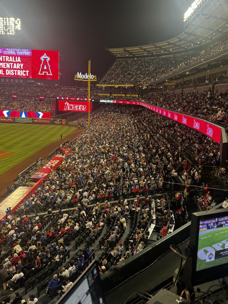 Stephen Nelson tweet media