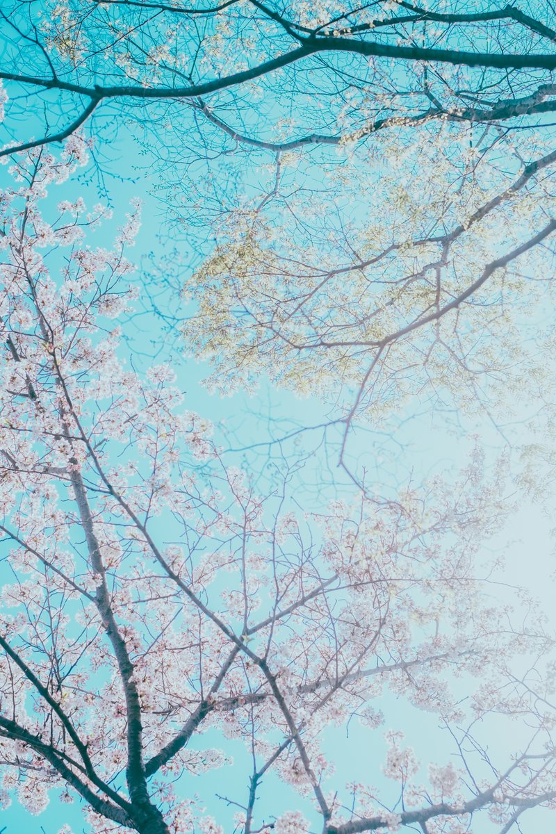 Sinchan_photography tweet media