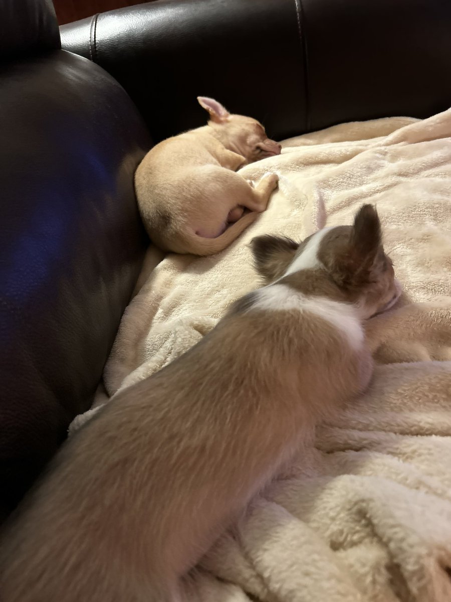 Just looking at them makes me tired sometimes