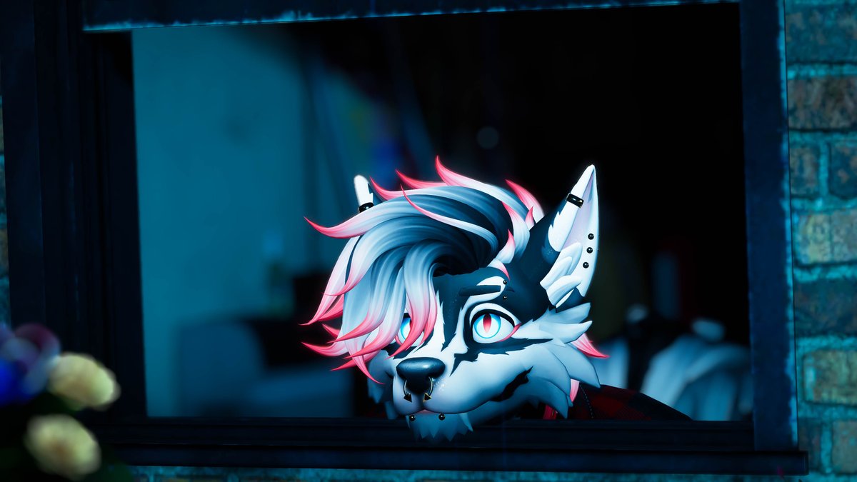 Captain Puppy tweet media