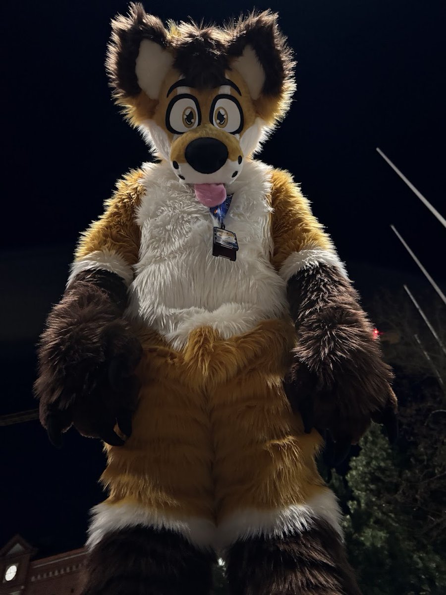 Foxalicious tweet media