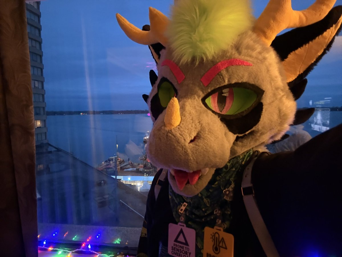 ⚠️ KNZI ⚠️ tweet media