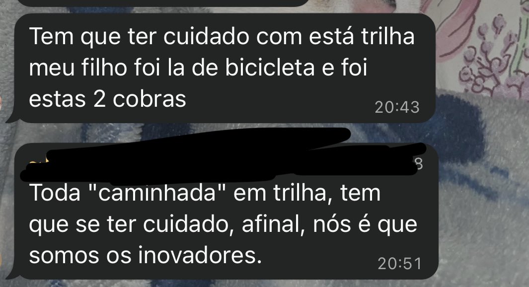 giu ♡🪩 tweet media