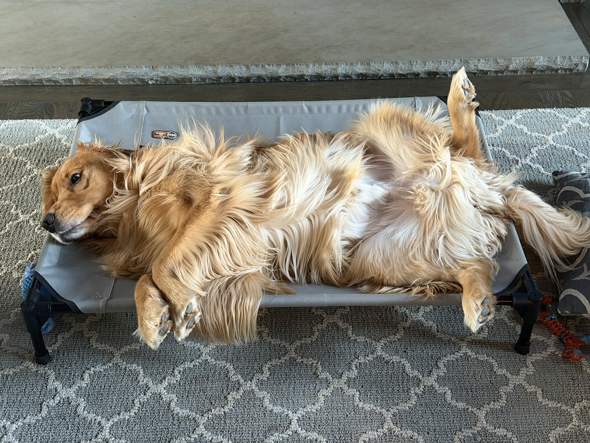 John Shields, MD, FAAOS tweet media