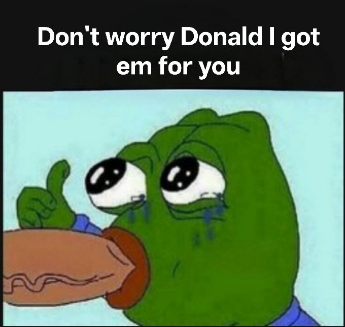 Ageless Enigma tweet media