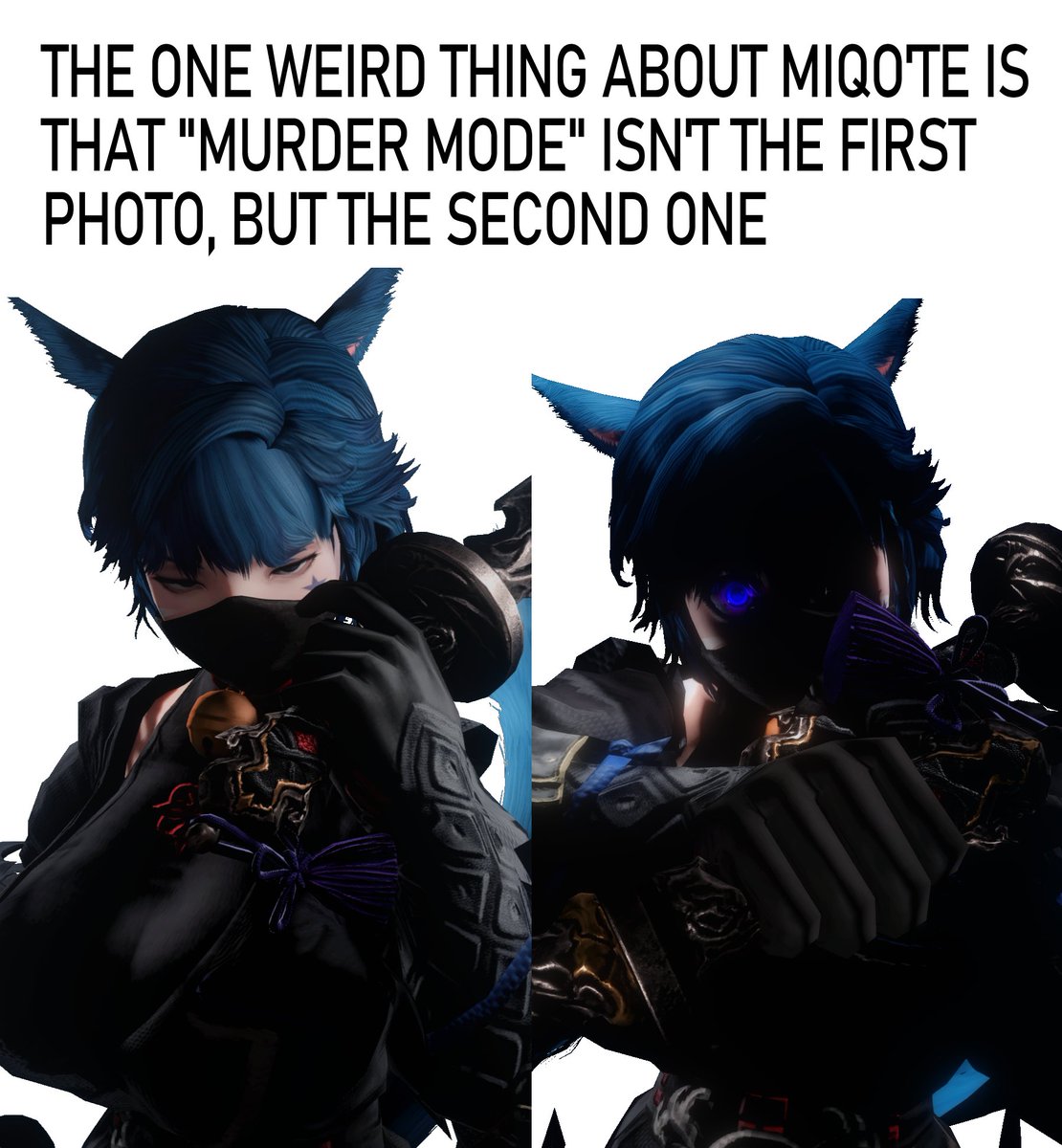 Dumber War Main tweet media