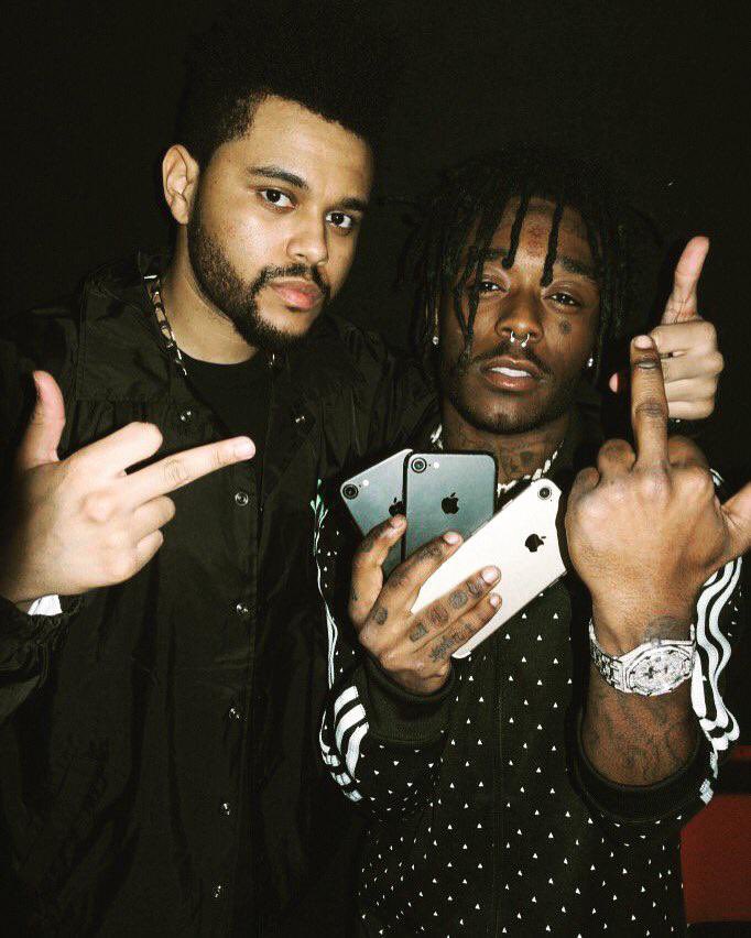 The Birds. tweet media