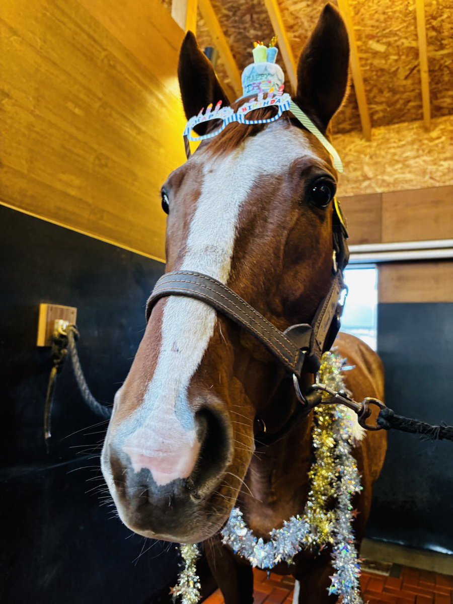 Yogiboヴェルサイユリゾートファーム tweet media