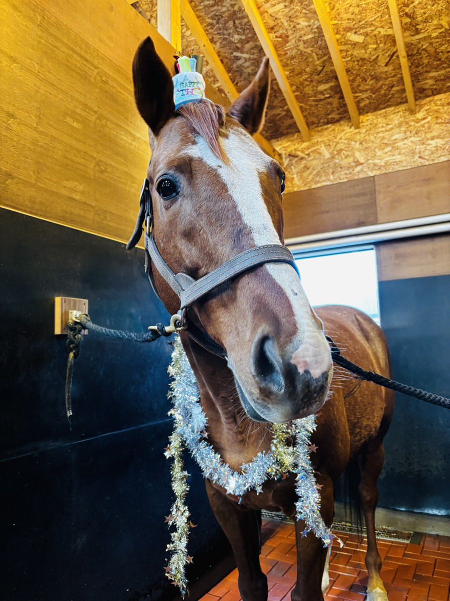 Yogiboヴェルサイユリゾートファーム tweet media