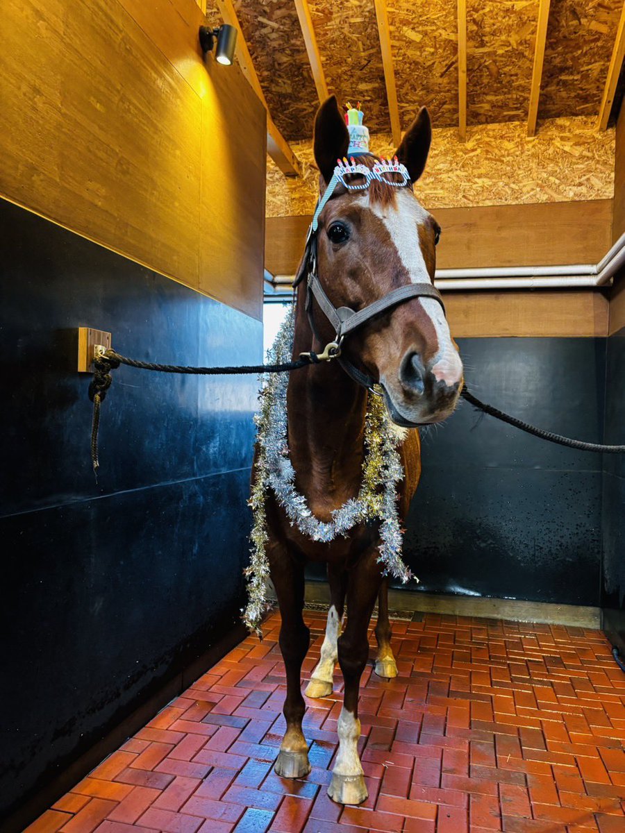 Yogiboヴェルサイユリゾートファーム tweet media