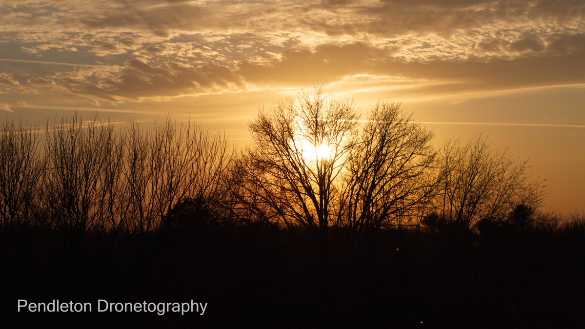 Danny Pendleton tweet media