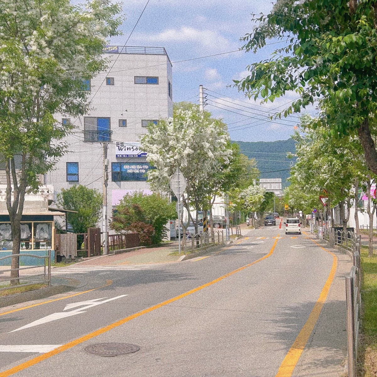 ❤︎ꔛ꼬모❜ tweet media