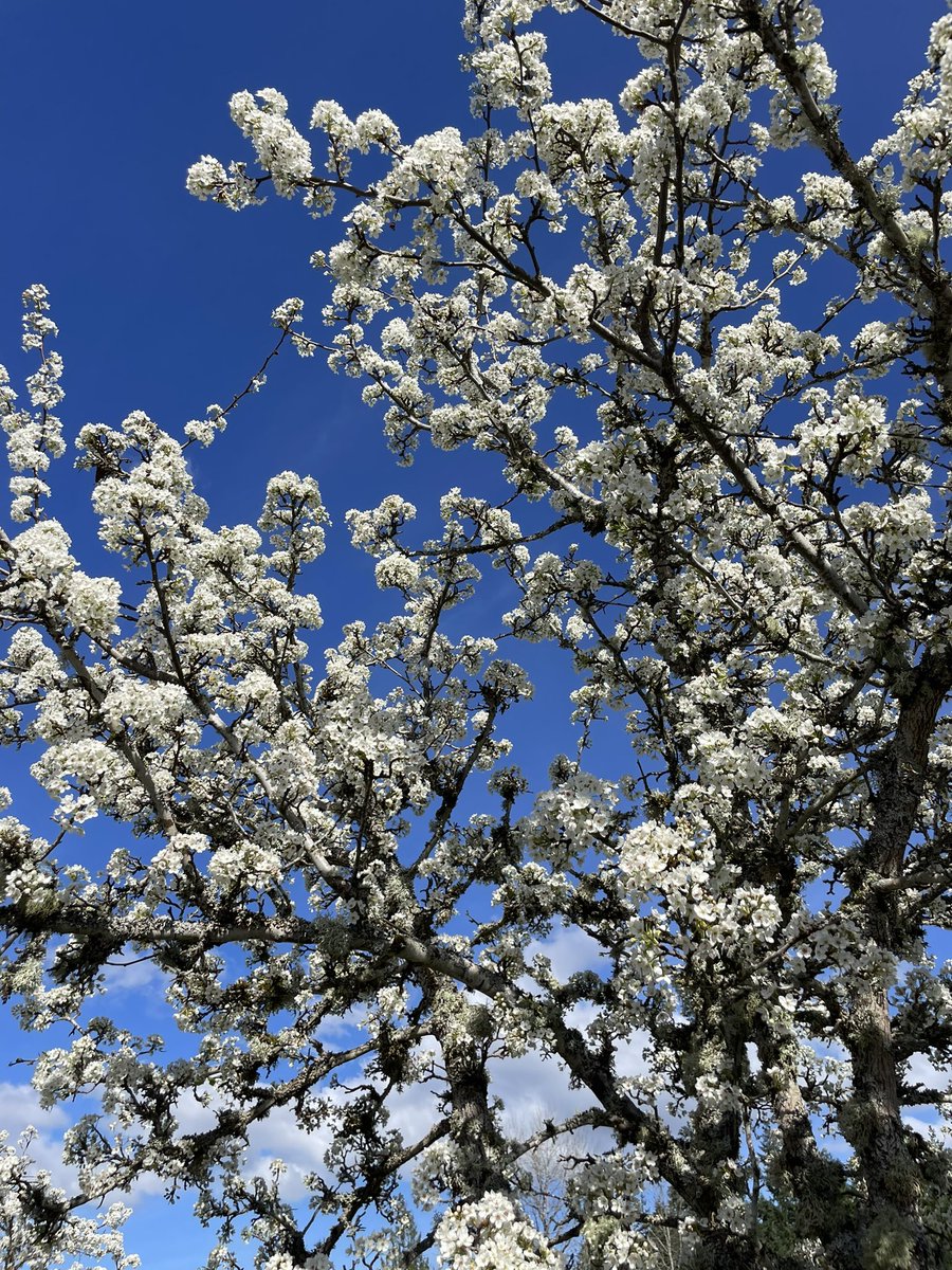 Julee Balko, author tweet media