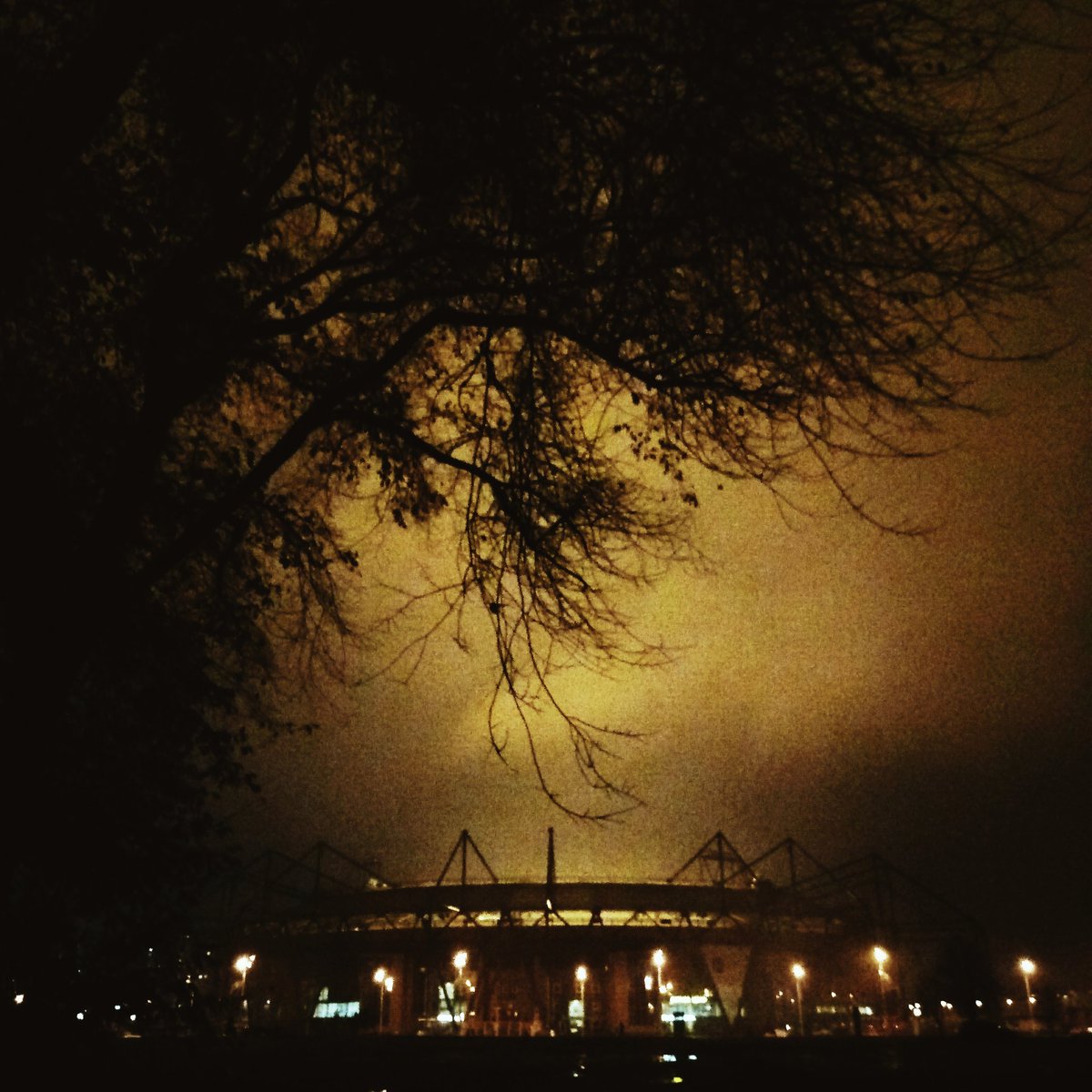 денаритми 📷 tweet media