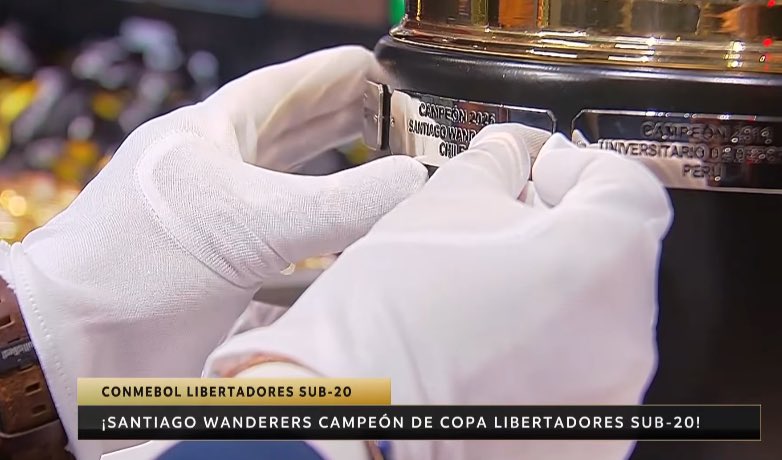 NANOSW CAMPEON DE AMERICA 🦍🇳🇬 tweet media