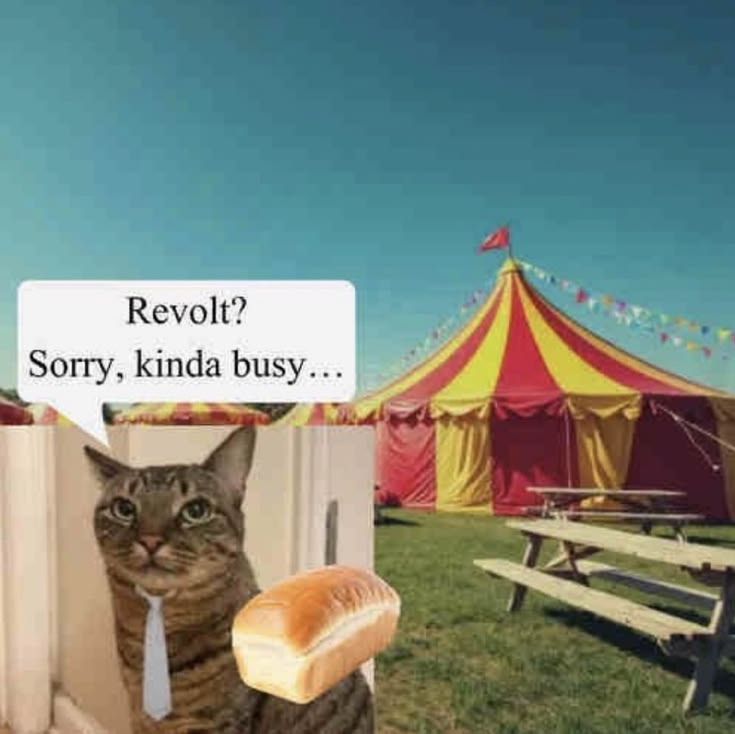 🇵🇸 All 🇵🇸 Nazis 🇵🇸 Are 🇵🇸 Nonces 🇵🇸 tweet media