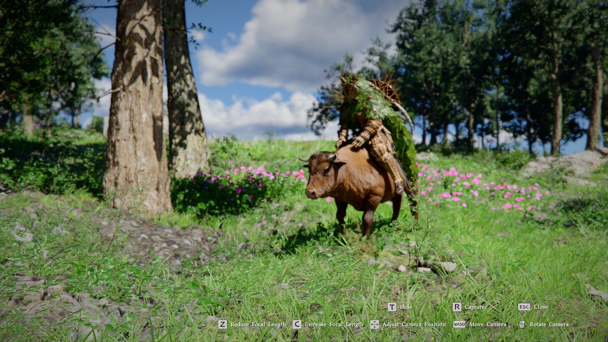 Blaine Smith 🔜 Canada 🤣 tweet media