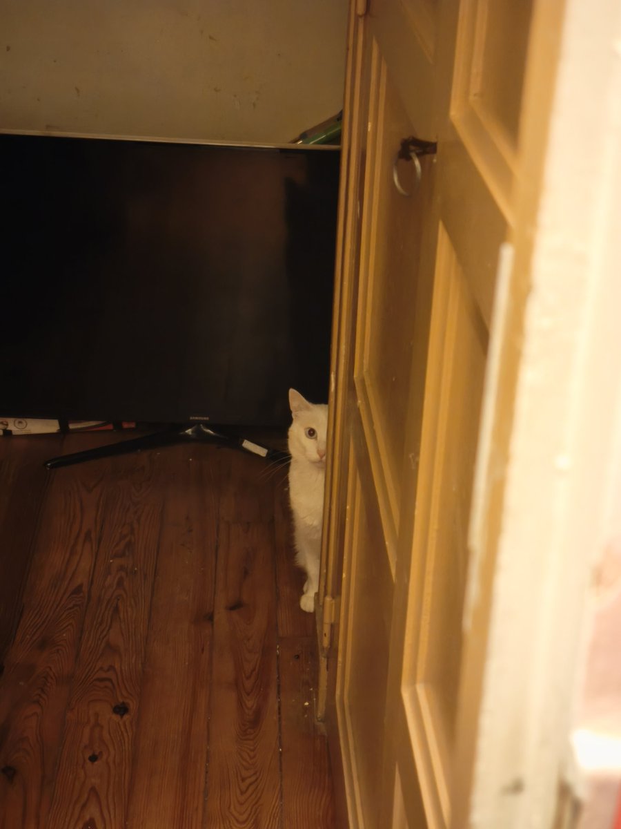 Mafa 🌻☁️ tweet media