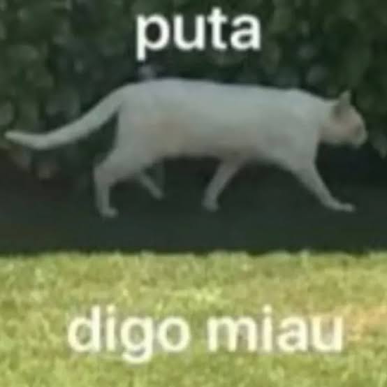 Cara n̶ã̶o̶ legal 🇭🇺 tweet media