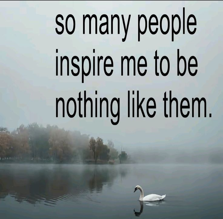 𝖈𝖍𝖆𝖇𝖆𝖟𝖎𝖙𝖊 tweet media