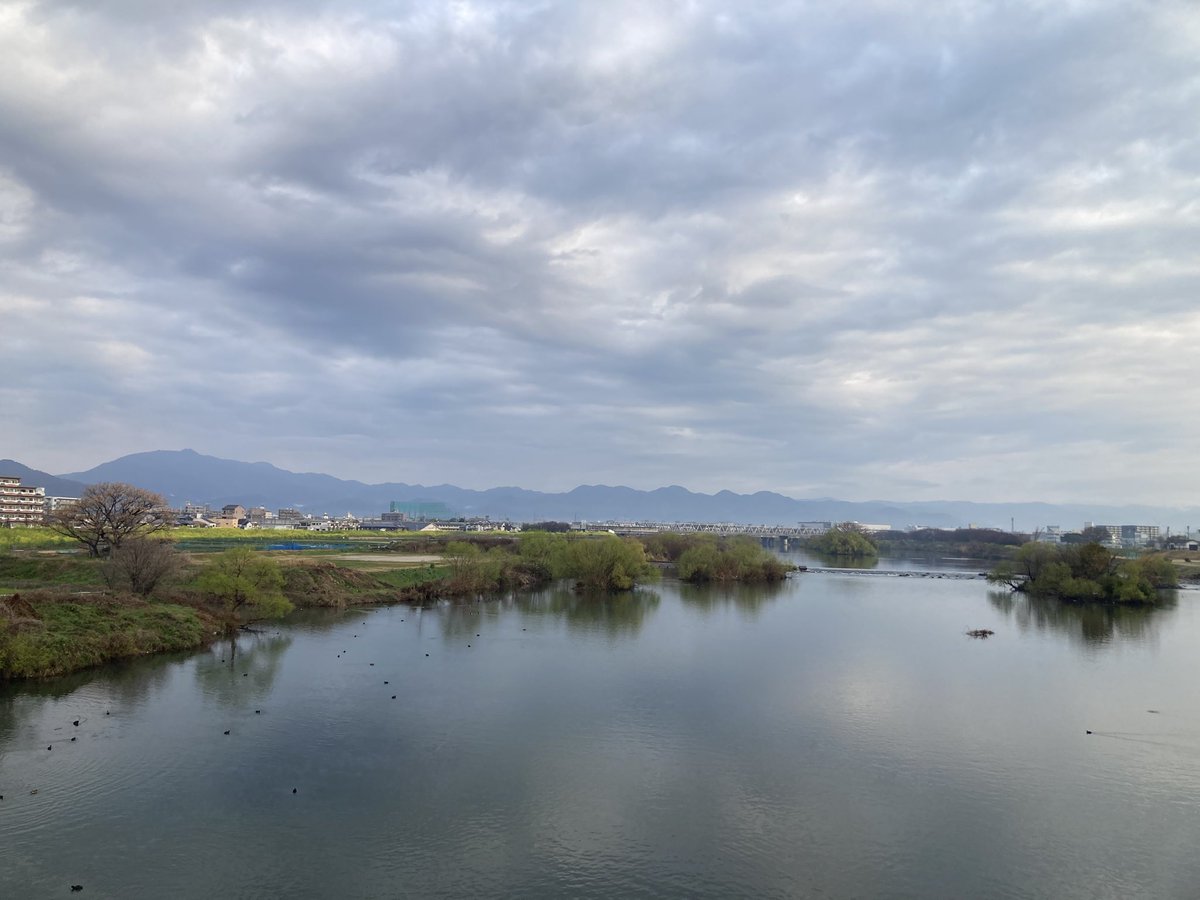 ジンノユーイチ @京都の税理士 tweet media