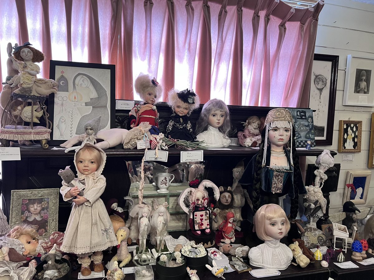 コルメキッサ⭐︎3/24-オープン！ tweet media