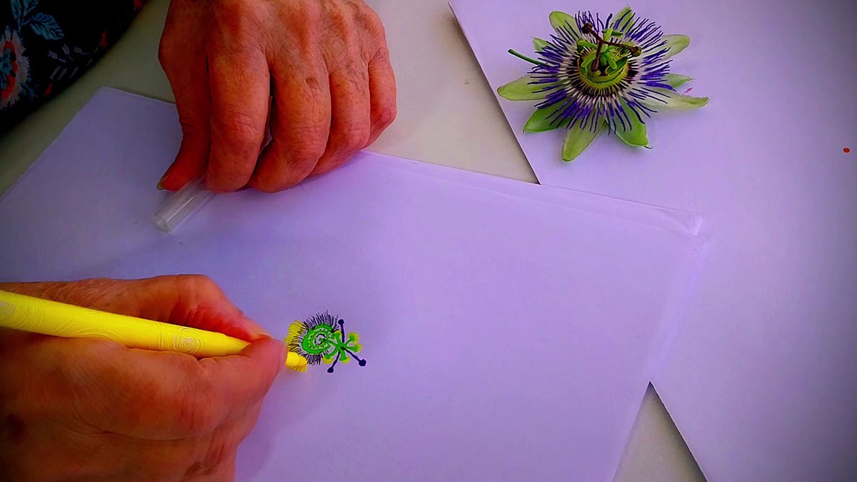 hortusansage's tweet image. Passiflora fluo
Dessins du 22/05/2025 avec Mme G. 
youtu.be/zqOU_XuhMCI
art.ehpadlarosee.fr
#art, #ehpad, #dessiner, #peindre, #écrire, #musiquer, #jardin, #botanique, #activité, #ateliers, #épanouissement, #maintien, #grandage