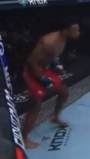 mando_mor1 tweet media