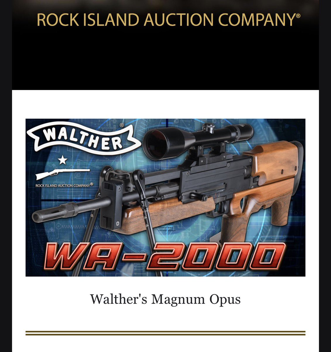 Valkyrie Brynn tweet media