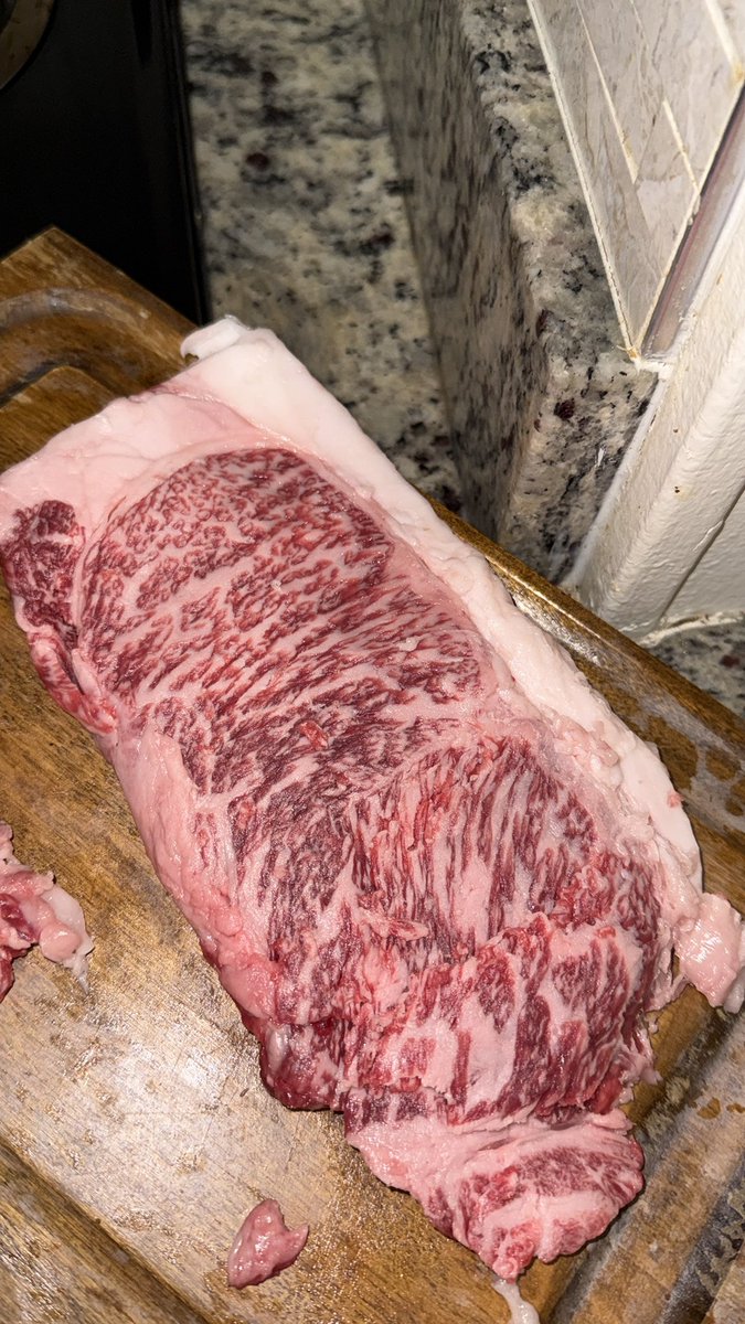 RoidedBalls🇹🇹 tweet media