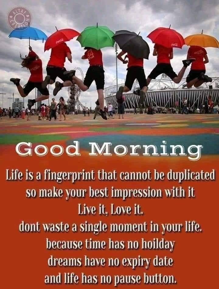 Frida De Guzman tweet media