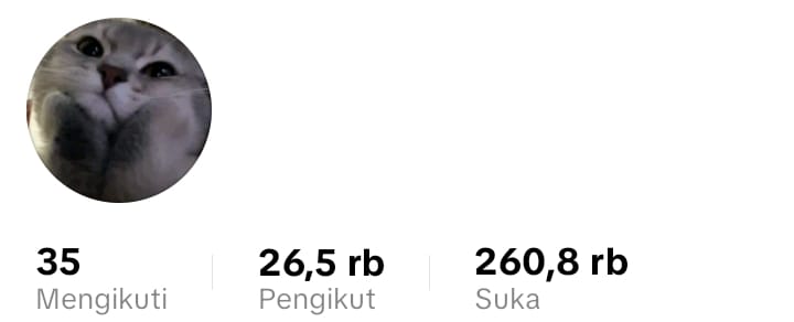 tar || jualan akun x, ig dan tiktok🍒 tweet media