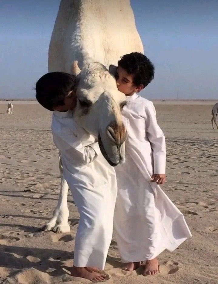 سعد القريني tweet media