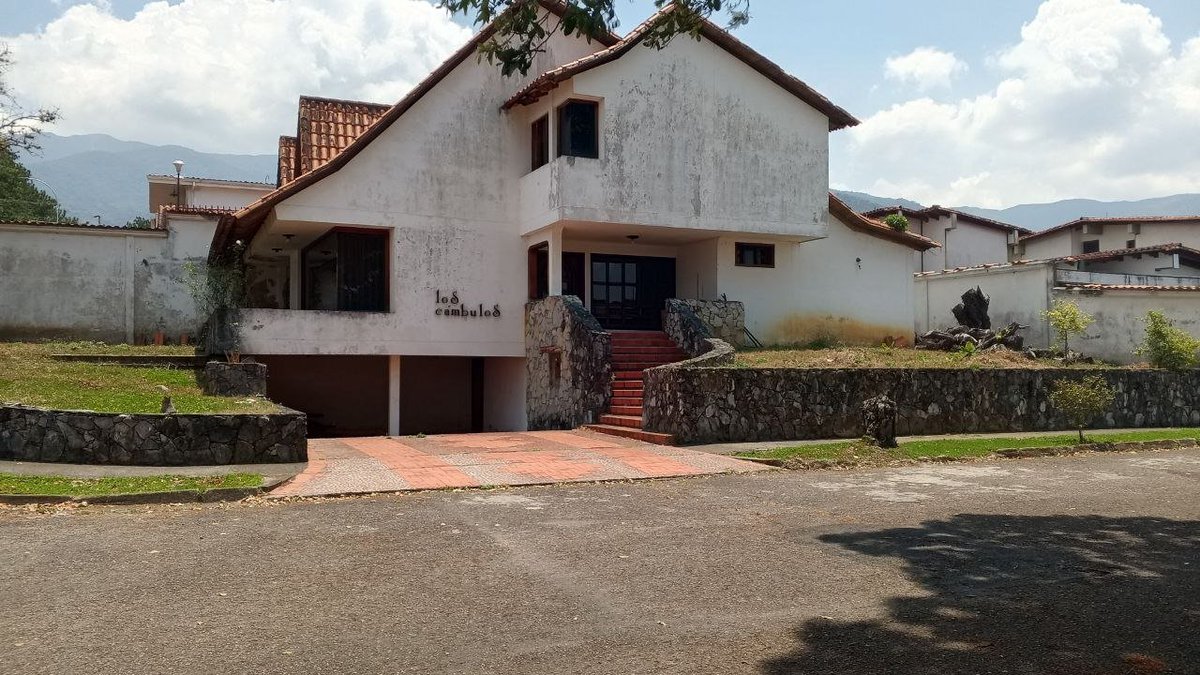 Venezuelensis Andium Venustas Aesthetics tweet media