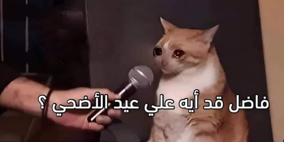 هل دي كانت حياتك! tweet media