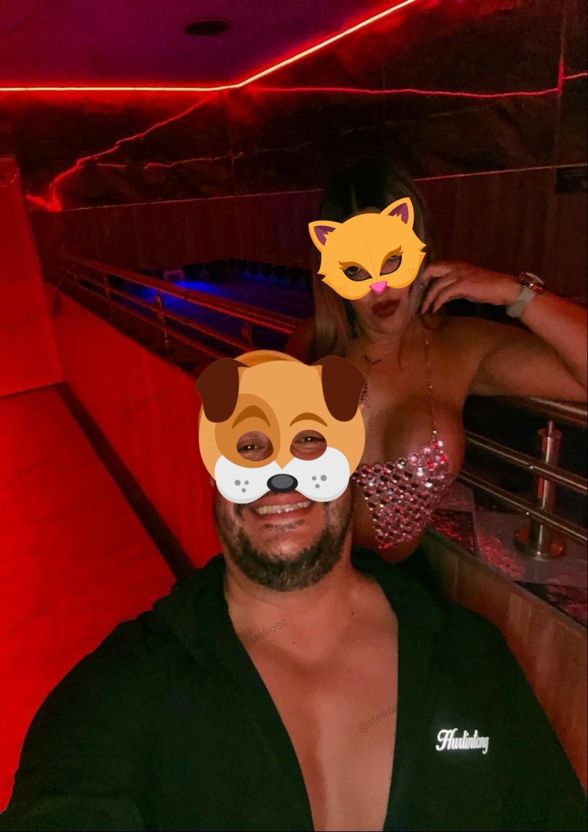 stefiosc tweet media