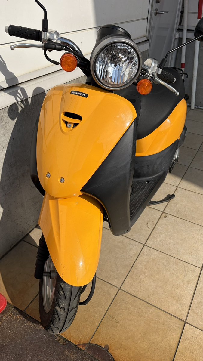 てぃけし🐈‍⬛🐈‍⬛❕🟩待機中 tweet media