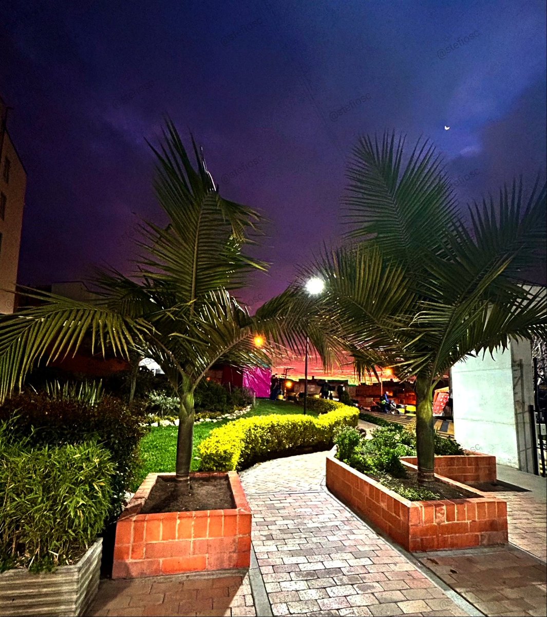 stefiosc tweet media