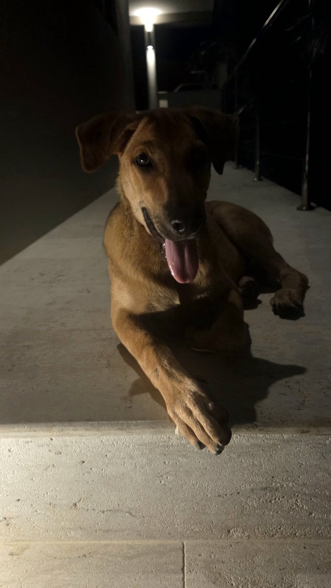 FattyNatsu tweet media