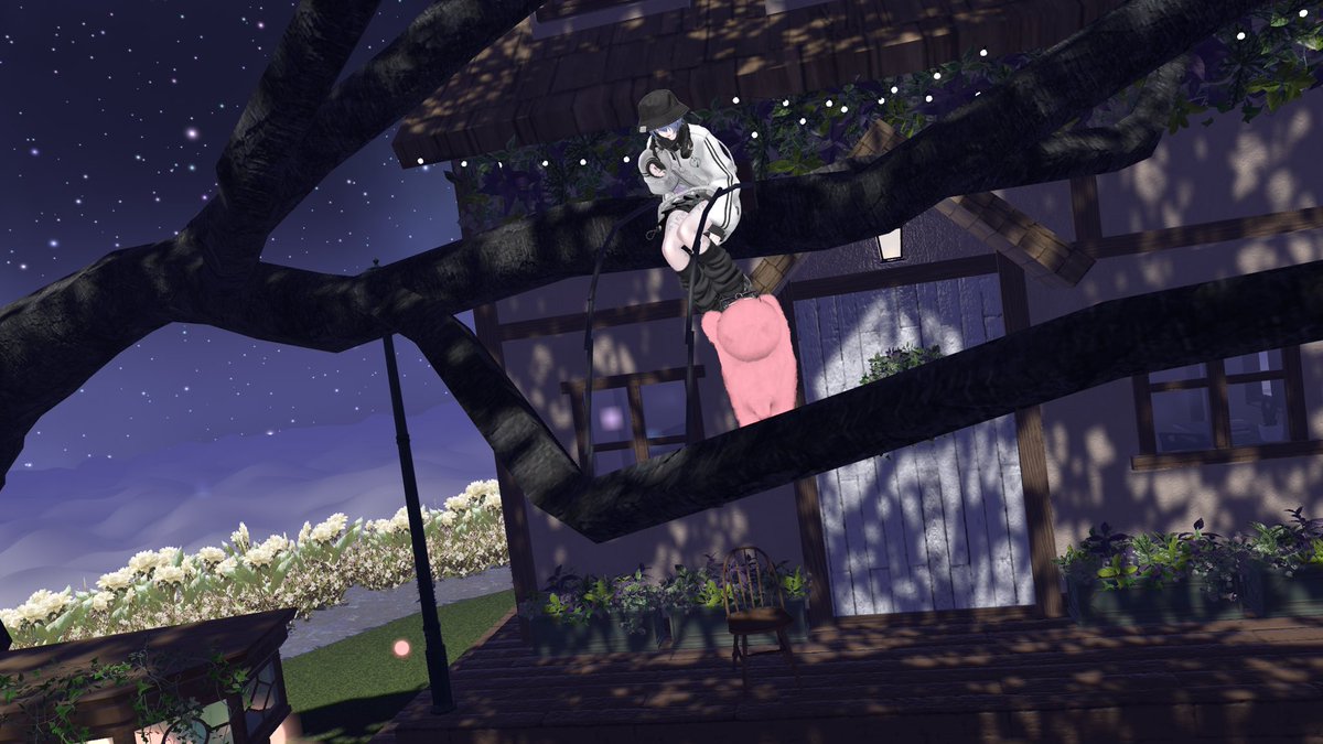 あるせ tweet media