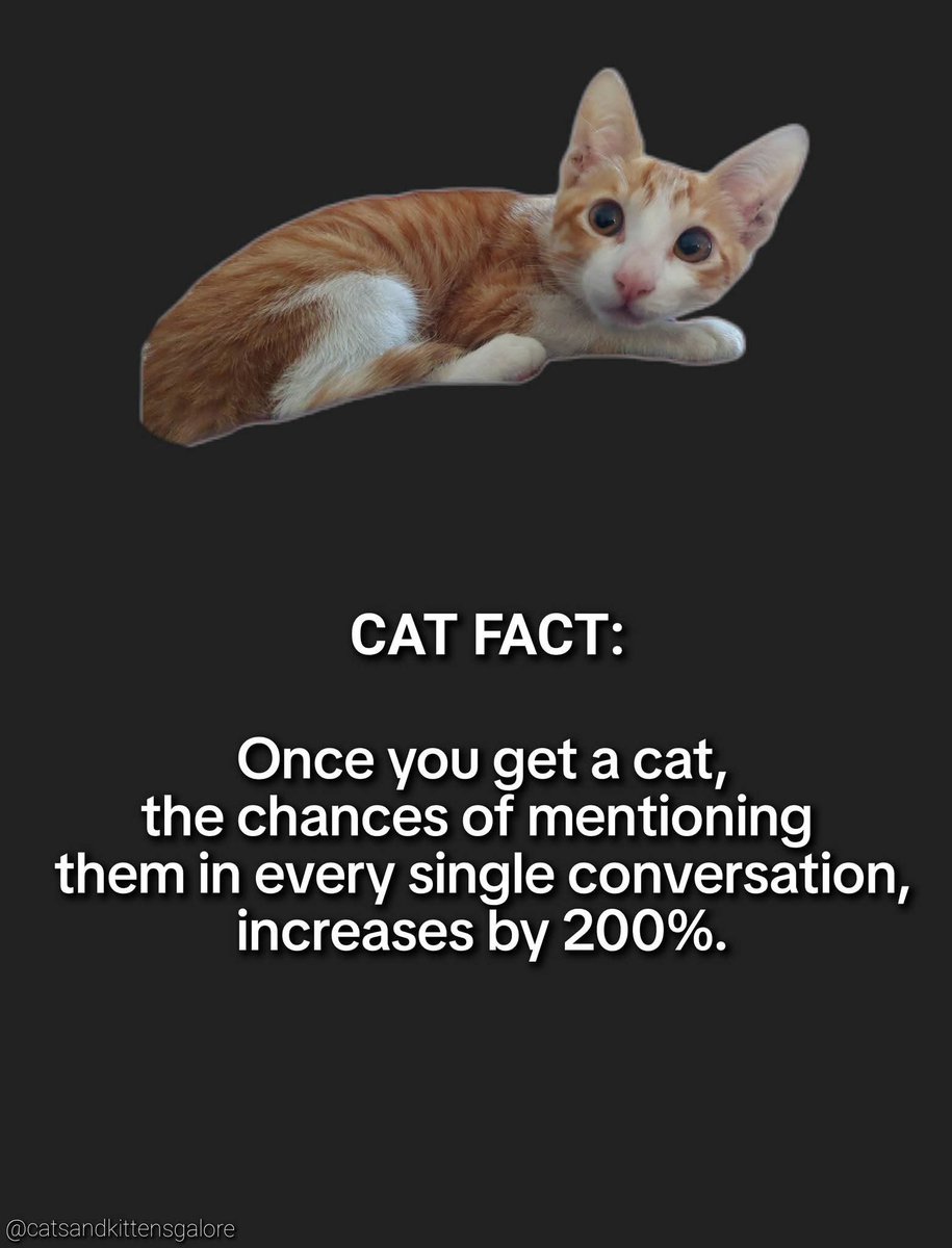 ⭐Alistair Flinch⭐ (@gurr2085) on Twitter photo 