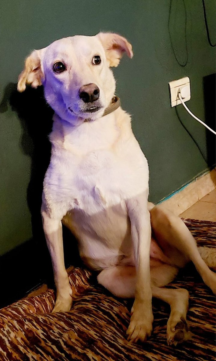 Pablo Andrés Vicente tweet media