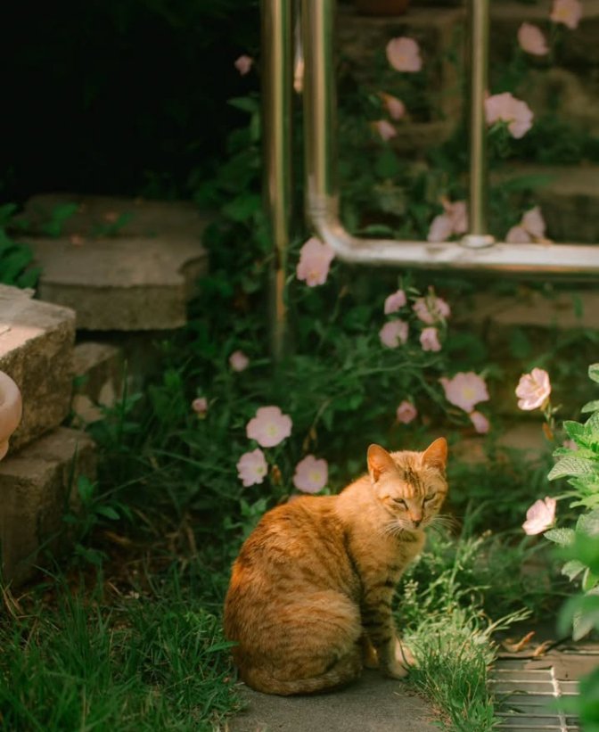 𝑝𝑢𝑟𝑒 tweet media