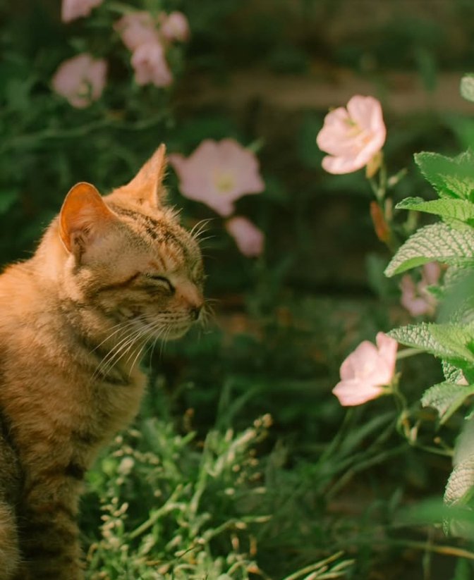 𝑝𝑢𝑟𝑒 tweet media