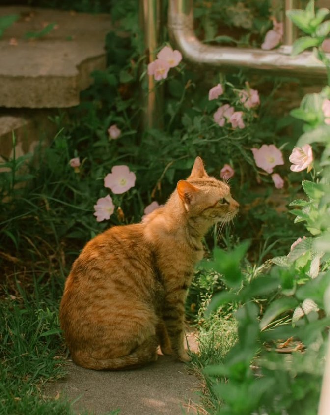 𝑝𝑢𝑟𝑒 tweet media